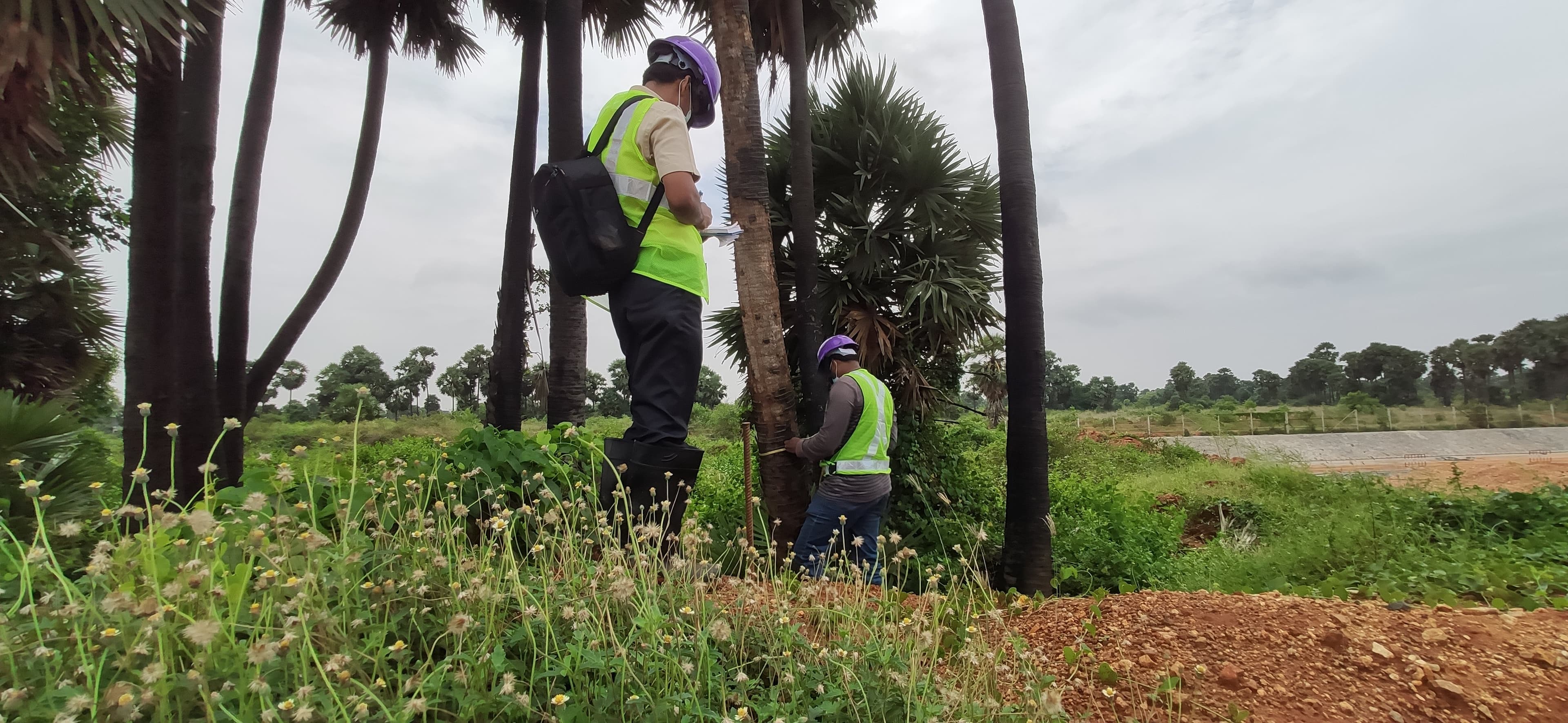 Environmental project 1