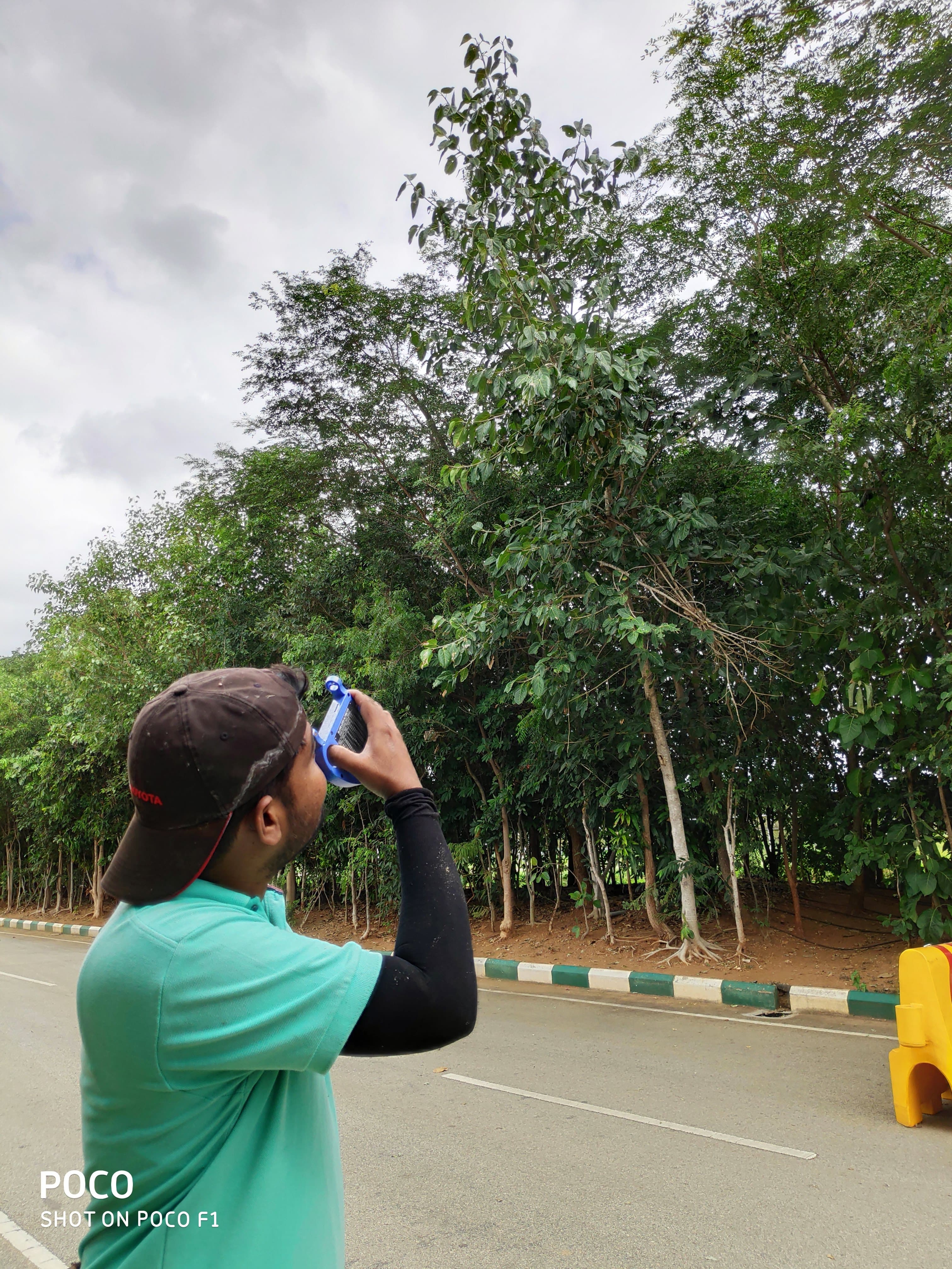 Environmental project 11