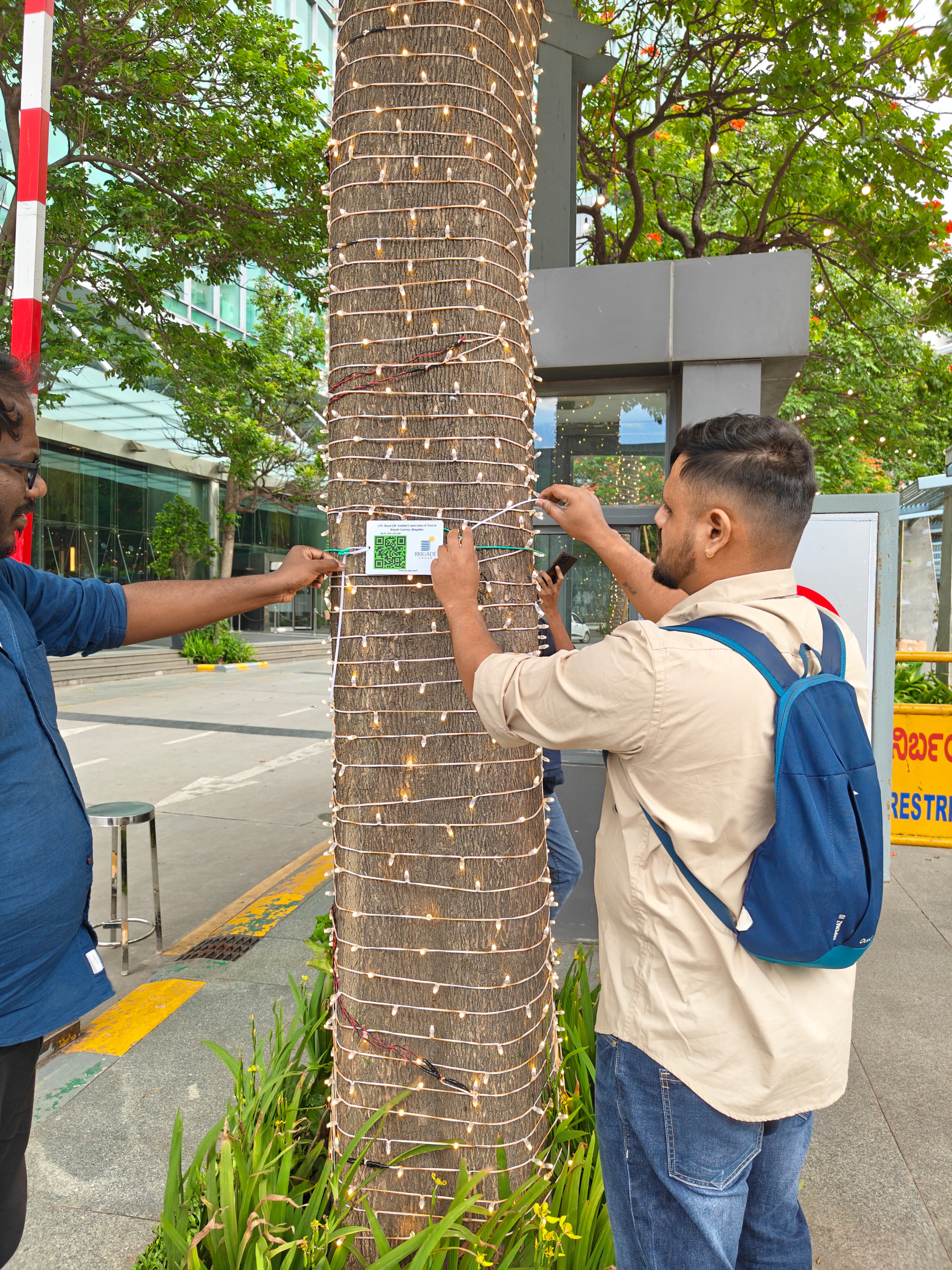 Environmental project 2