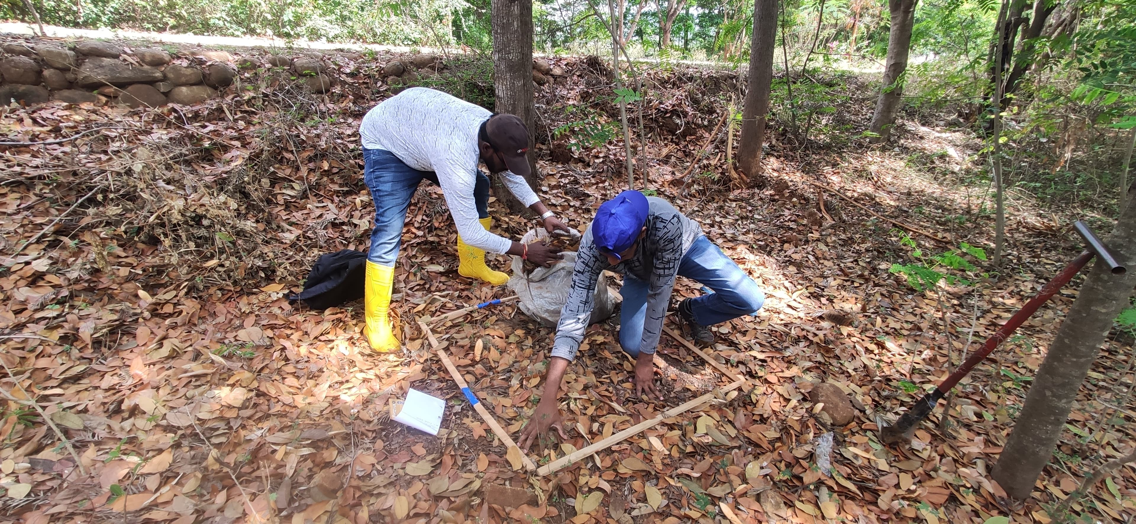 Environmental project 3