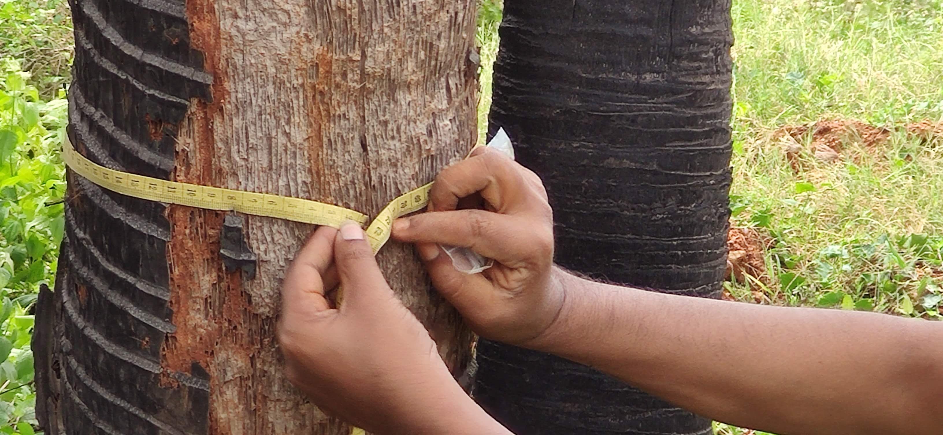 Environmental project 5