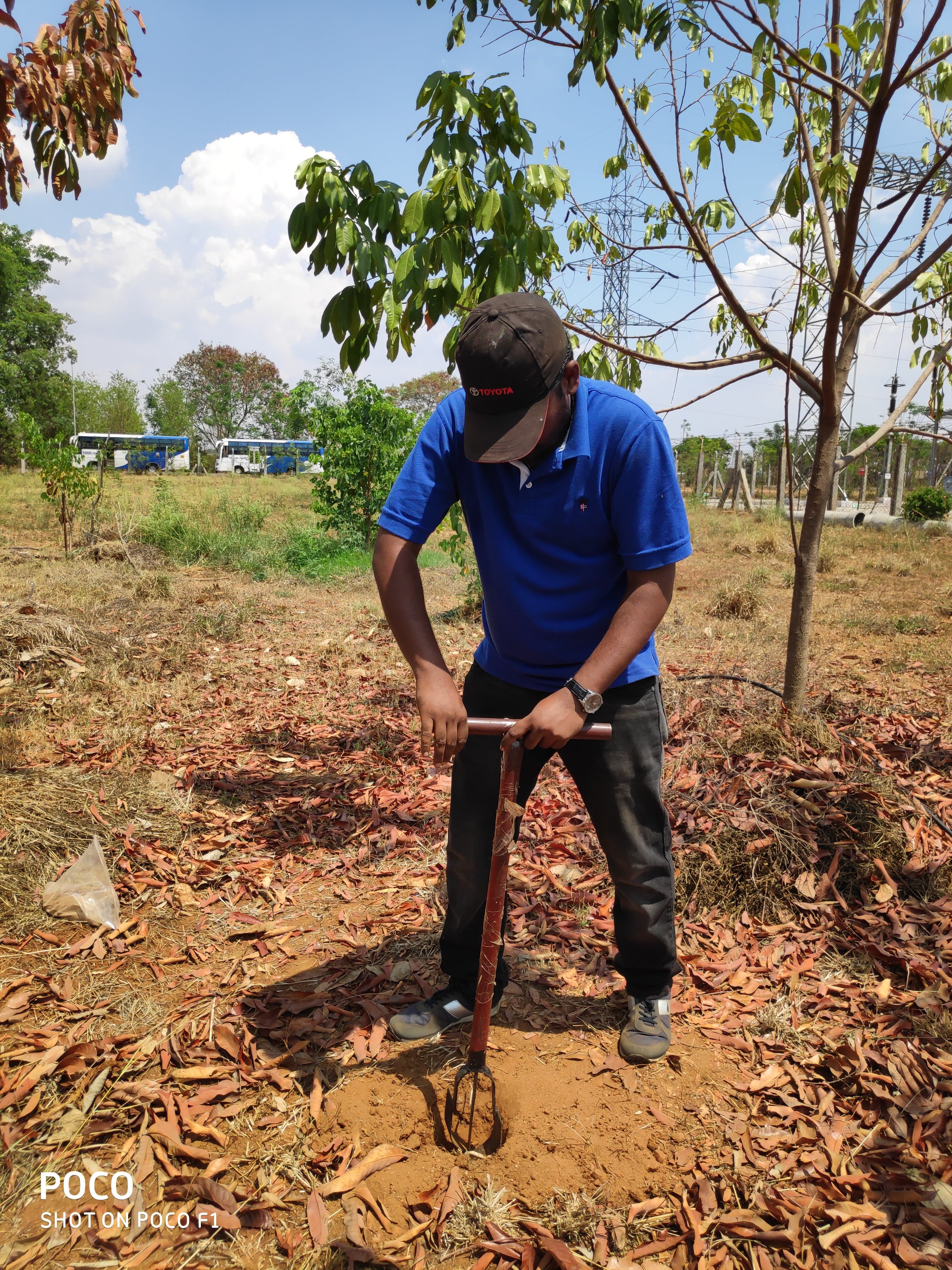 Environmental project 6